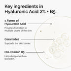 Hyaluronic Acid 2% + B5 Key Ingredients - Hyaluronic Acid, Ceramides, Vitamin B5