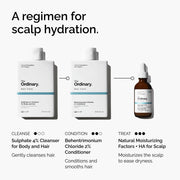 Regimen Infographic Natural Moisturizing Factors + HA for Scalp