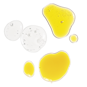 The Antioxidant Collection